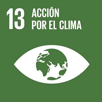 SDG goal 13